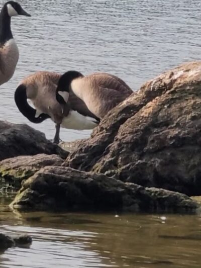 Loch Raven Park - Phoenix, MD