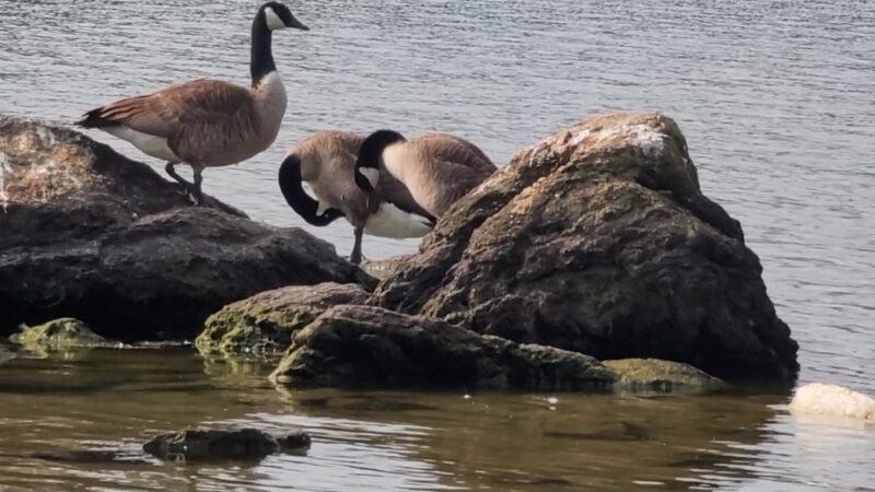 Loch Raven Park - Phoenix, MD