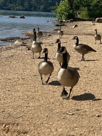 Loch Raven Park - Phoenix, MD
