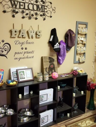 Paws Puppy Palace LLC - Phoenix, NY