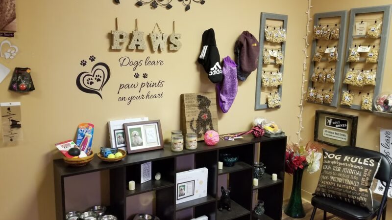 Paws Puppy Palace LLC - Phoenix, NY