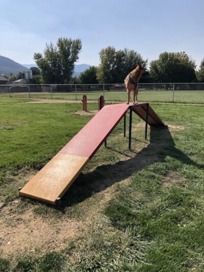 Blitz's Phoenix dog park - Phoenix, OR