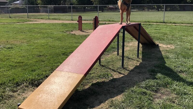 Blitz's Phoenix dog park - Phoenix, OR