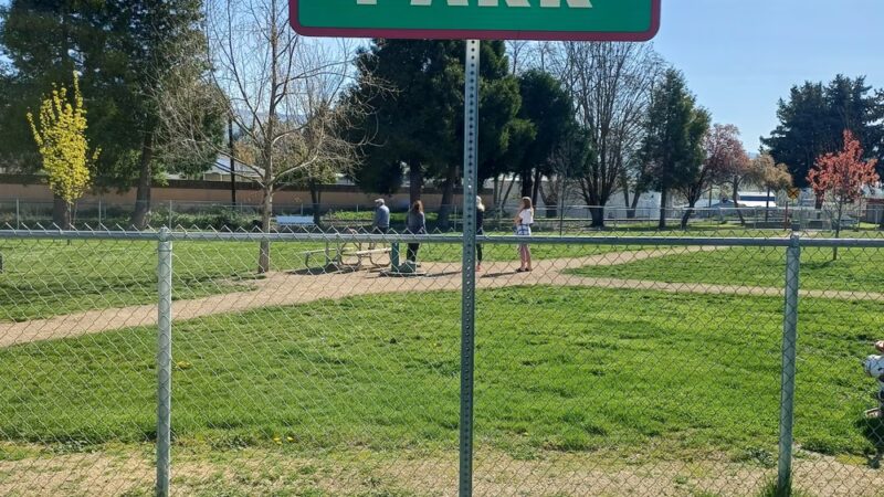 Blitz's Phoenix dog park - Phoenix, OR