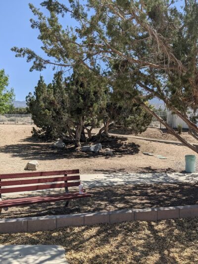 Piñon Hills Park - Piñon Hills, CA