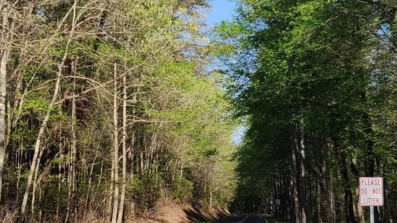 Cedar Rock Trail Parking - Pickens, SC