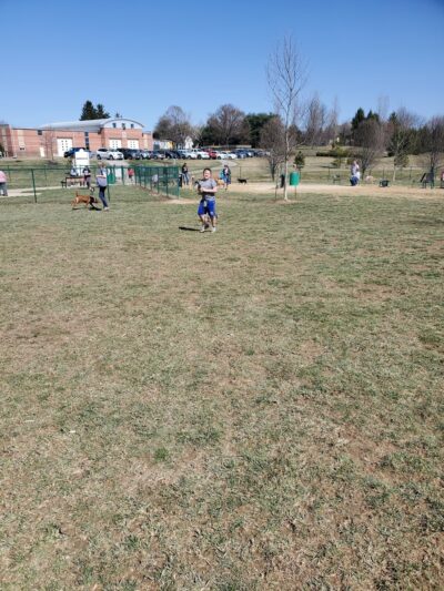 Violet Township Dog Park - Pickerington, OH