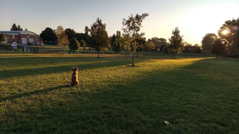Violet Township Dog Park - Pickerington, OH