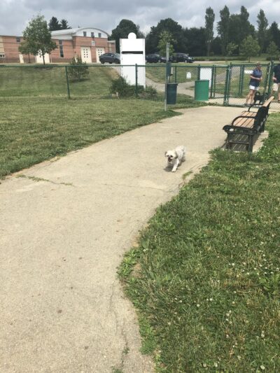 Violet Township Dog Park - Pickerington, OH