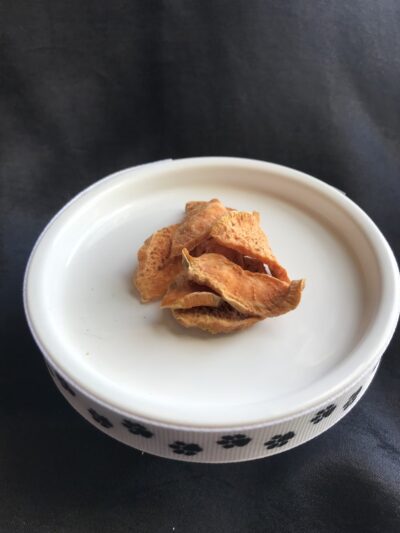 Picnic in the Dog Park - ,