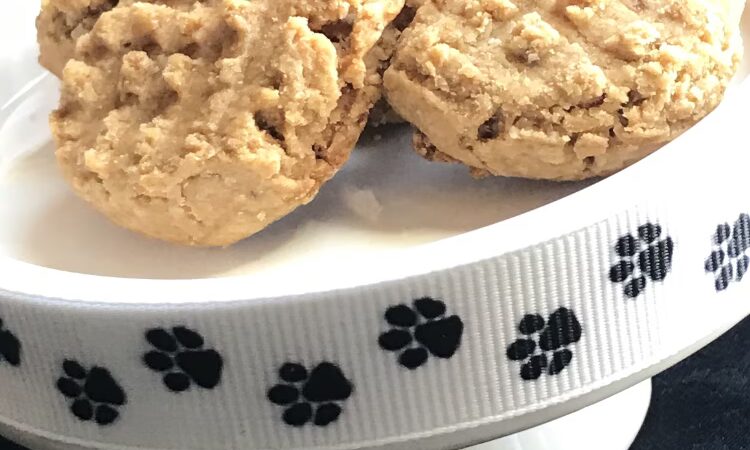 Picnic in the Dog Park - ,