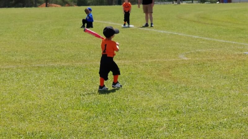 Piedmont Sports Complex - Piedmont, AL