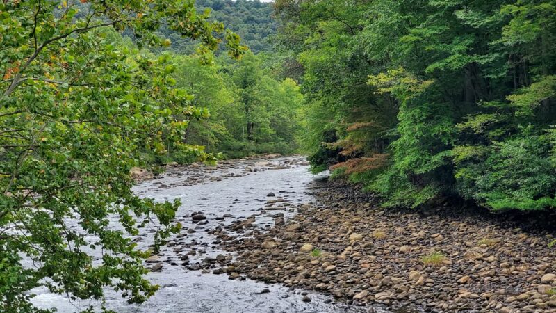 Barnum Rail Trail - Piedmont, WV