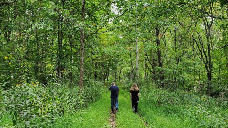 Barnum Rail Trail - Piedmont, WV