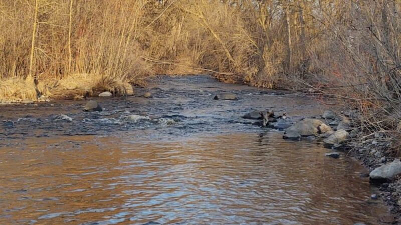 Pierz Park - Pierz, MN