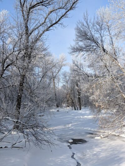 Pierz Park - Pierz, MN