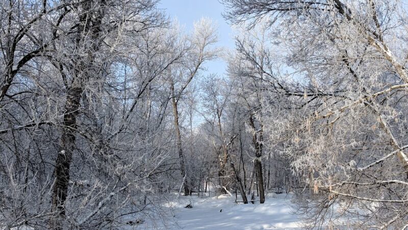 Pierz Park - Pierz, MN