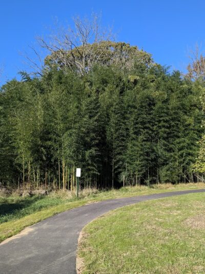Meadow Creek Park - Pikesville, MD