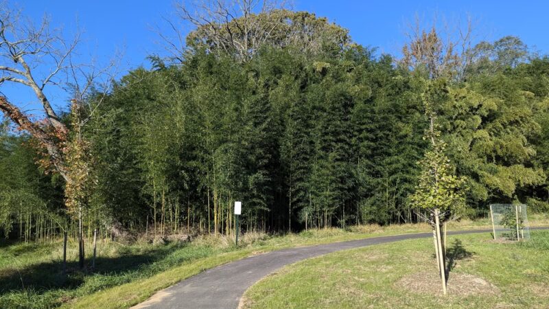 Meadow Creek Park - Pikesville, MD