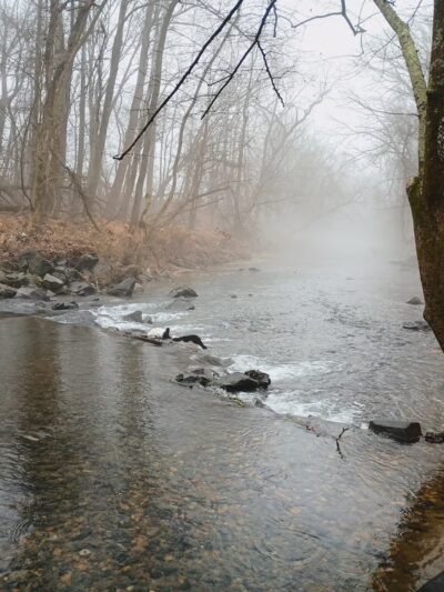 Milford Mill Gwynn Falls Trail - Pikesville, MD