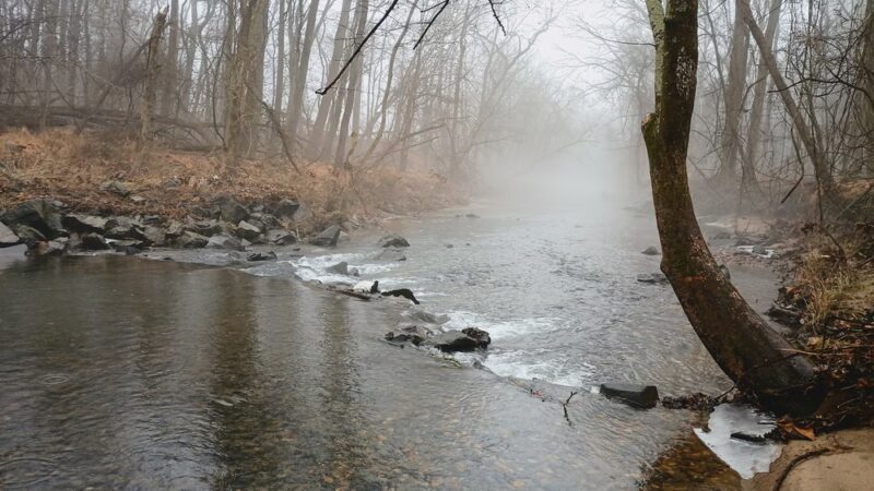 Milford Mill Gwynn Falls Trail - Pikesville, MD