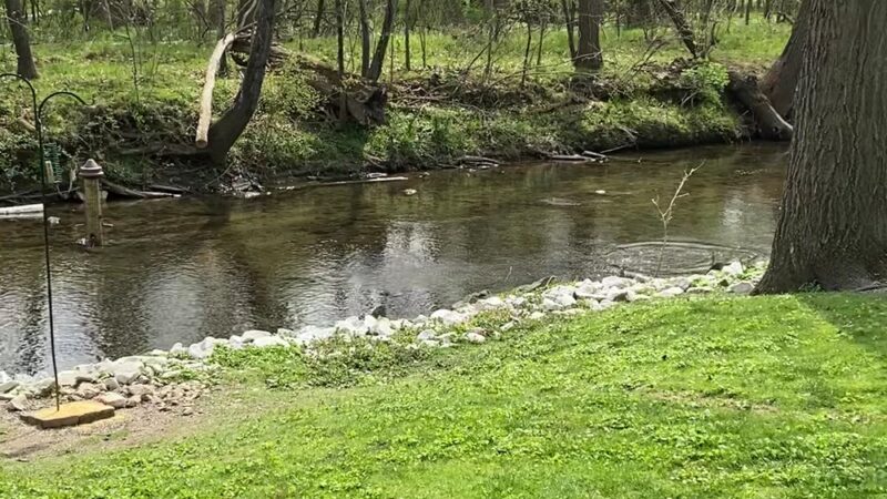 Milford Mill Gwynn Falls Trail - Pikesville, MD