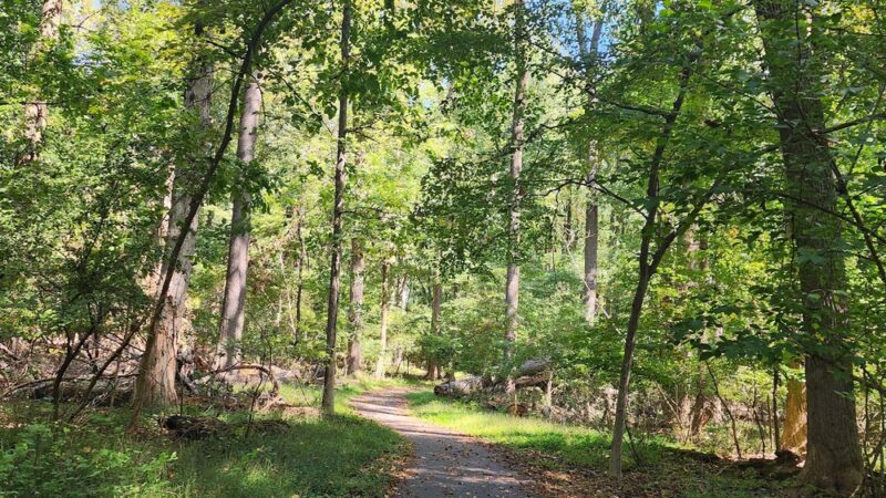Milford Mill Gwynn Falls Trail - Pikesville, MD