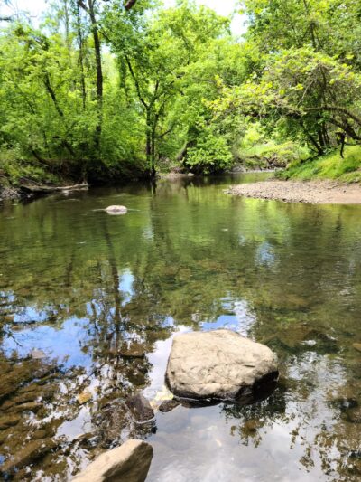 Milford Mill Gwynn Falls Trail - Pikesville, MD