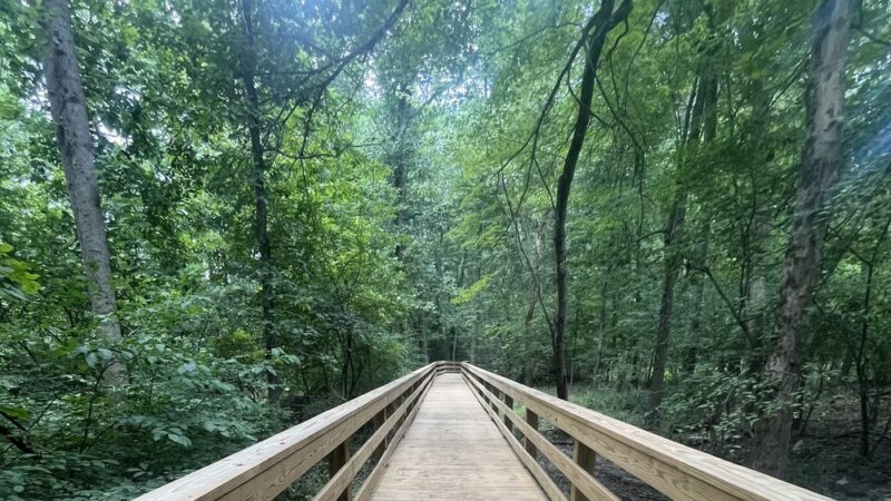Milford Mill Gwynn Falls Trail - Pikesville, MD