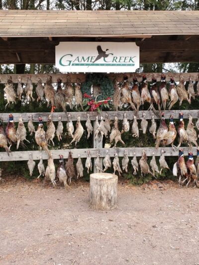 Game Creek Hunting Farms - Pilesgrove, NJ