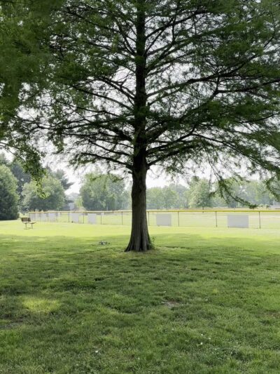 Marlton Recreation Park - Pilesgrove, NJ