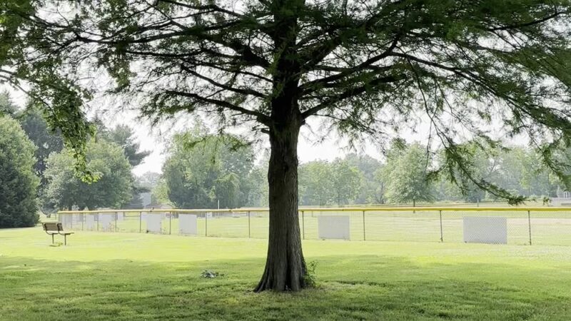 Marlton Recreation Park - Pilesgrove, NJ