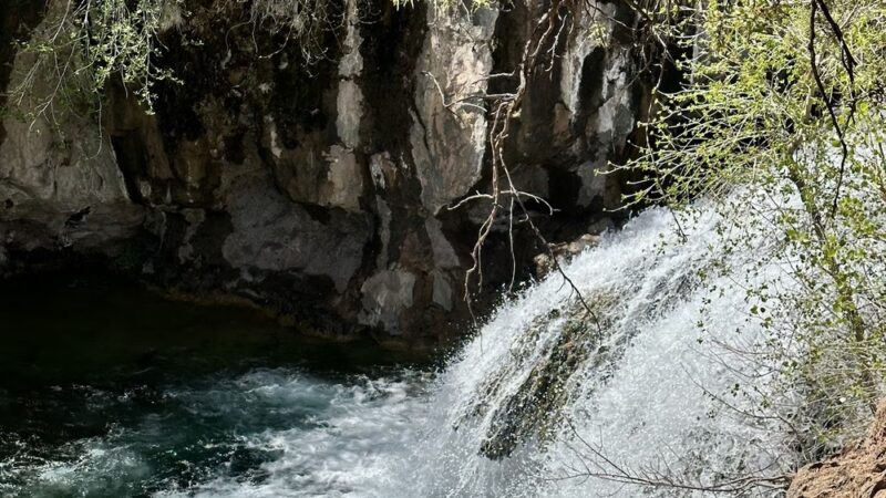 Fossil Creek Wild and Scenic River Recreation Area - Pine, AZ