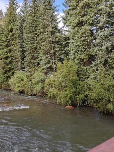 Pine Lake Ranch - Pine, CO