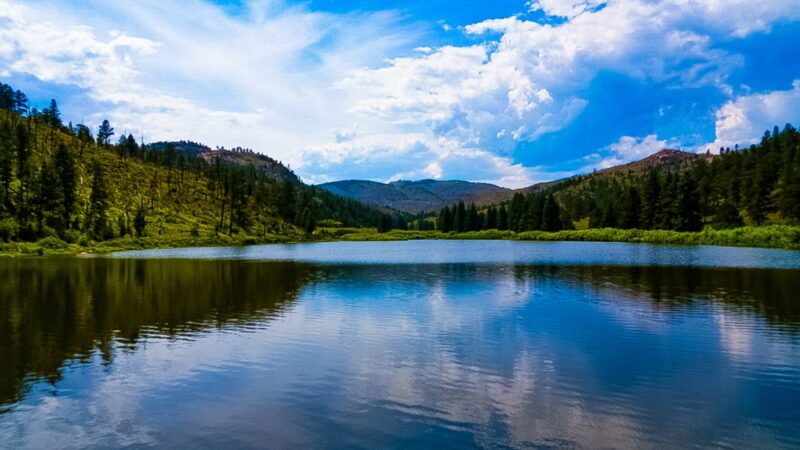 Pine Lake Ranch - Pine, CO