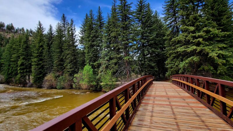 Pine Lake Ranch - Pine, CO