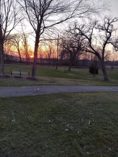 Collins Park - Pine Island, MN