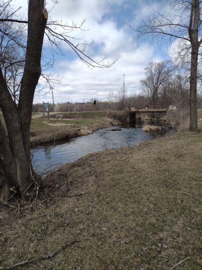 Collins Park - Pine Island, MN