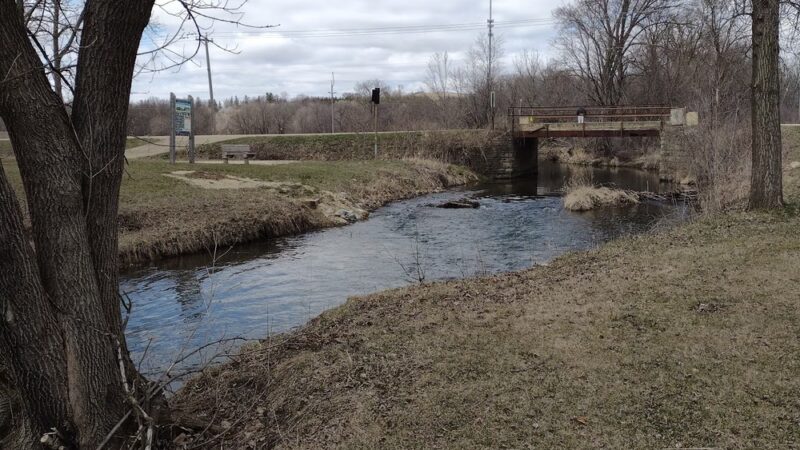 Collins Park - Pine Island, MN