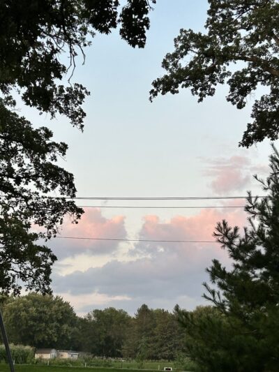 Collins Park - Pine Island, MN