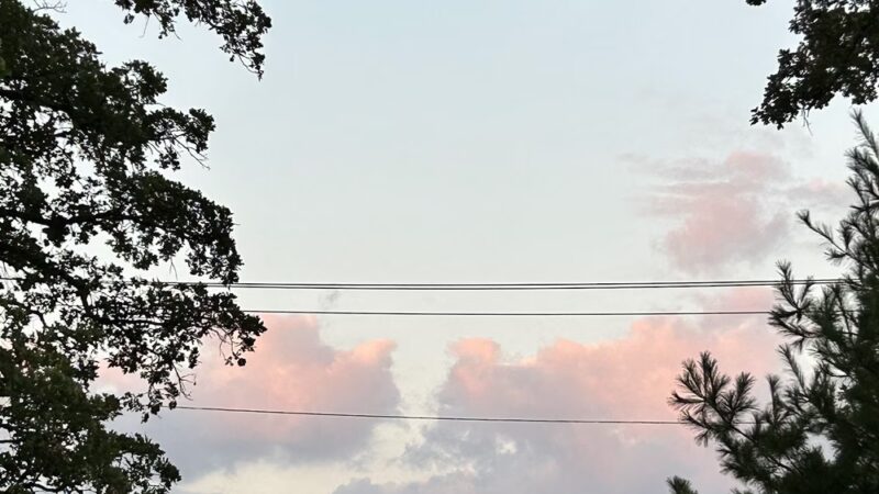 Collins Park - Pine Island, MN