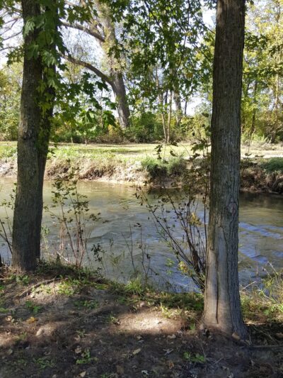 Collins Park - Pine Island, MN