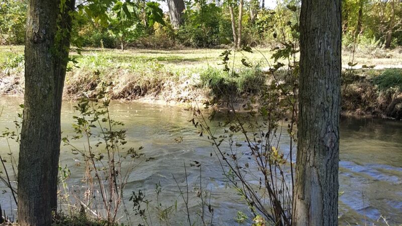 Collins Park - Pine Island, MN