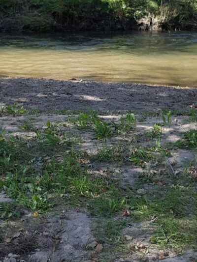 Collins Park - Pine Island, MN