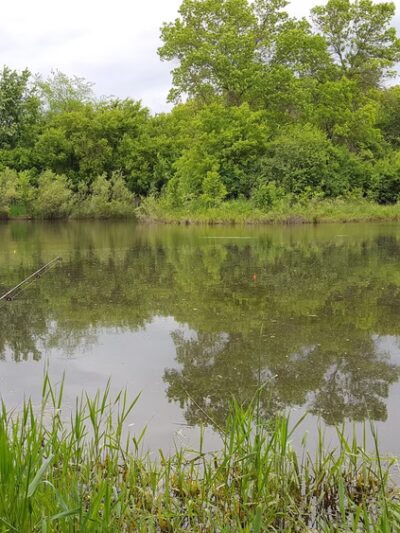 Nature Preserve Park - Pine Island, MN
