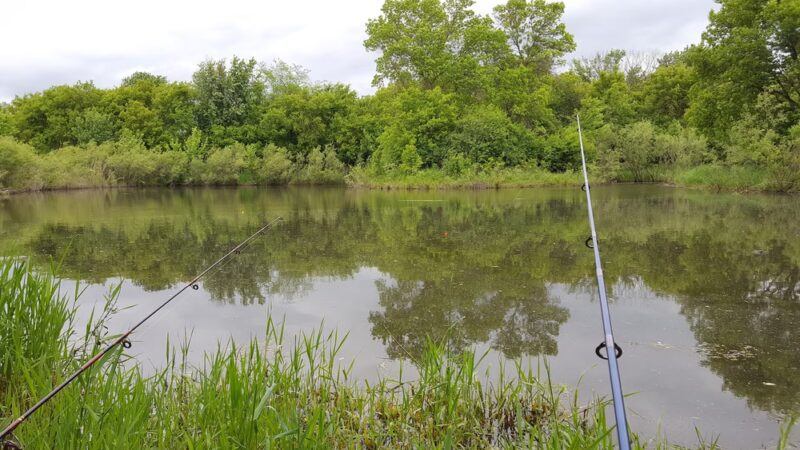 Nature Preserve Park - Pine Island, MN