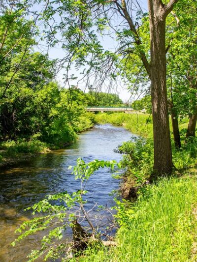 Trailhead Park - Pine Island, MN