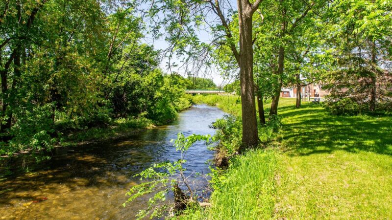 Trailhead Park - Pine Island, MN