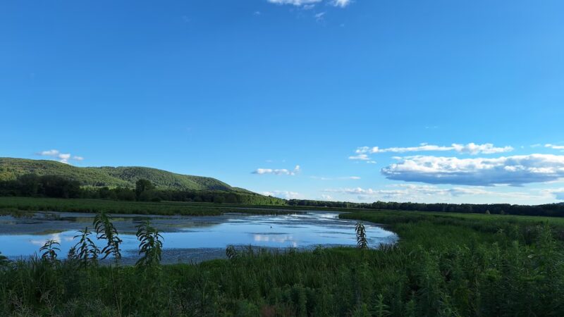 Liberty Loop Trail - Pine Island, NY