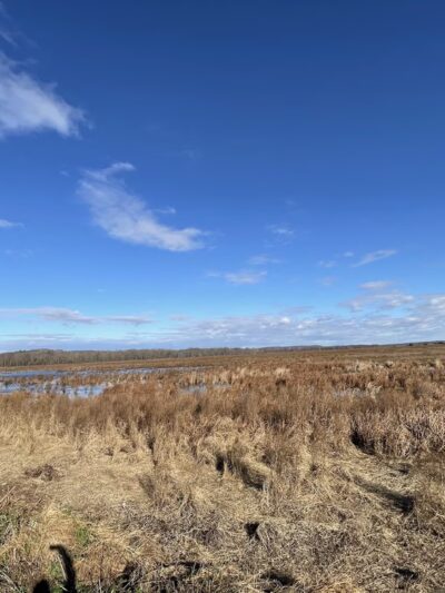 Liberty Loop Trail - Pine Island, NY